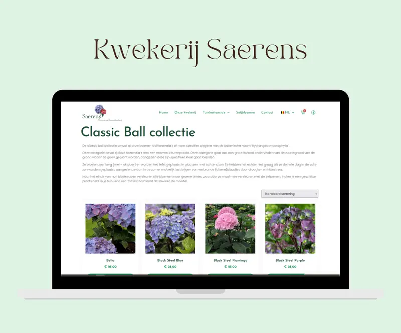 Webshop bloemen en planten Kwekerij Saerens Opwijk